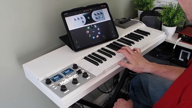 Ambient iPad Live Jam 36: Mellotron M4000D (Bassoon and English Horn), AudioReverb, FAC Chorus смотреть онлайн