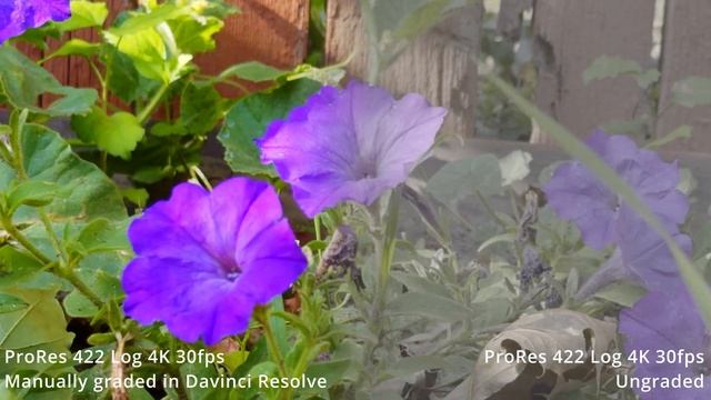 Apple iPhone 15 Pro - ProRes 422 Log Video Samples - 4K 30 смотреть онлайн