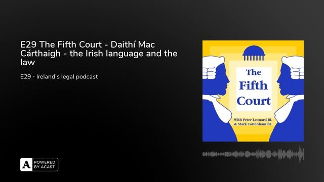 E29 The Fifth Court - Daithí Mac Cárthaigh - the Irish language and the law смотреть онлайн