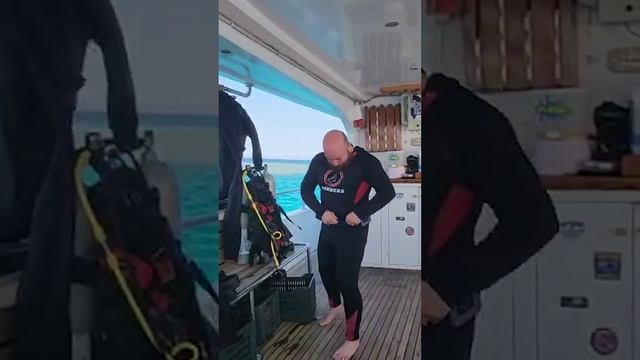 Sturm Mini от Kizlyar Supreme всегда с тобой #мининож смотреть онлайн