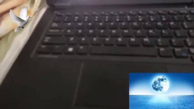 test for iriun 5 смотреть онлайн