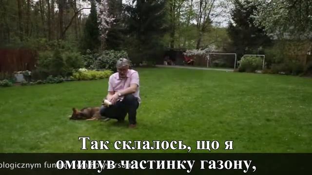 Надзвичайні ефекти підживлення газону після зими смотреть онлайн