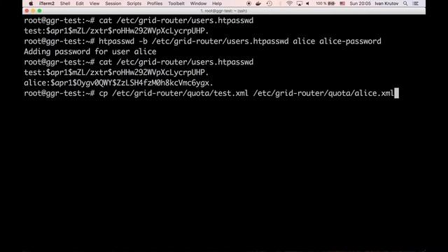 Scaling Selenium. Ggr: adding users and hosts смотреть онлайн