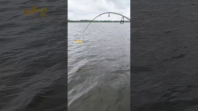 Трофей этого сезона смотреть онлайн