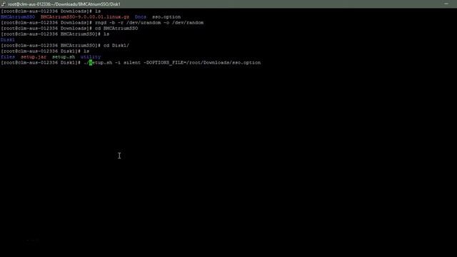 Installing BMC Atrium Orchestrator on Linux - Part 2 смотреть онлайн