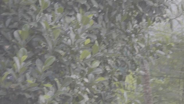iPhone 15 Pro Max ProRes RAW unedited video #iphone15promax смотреть онлайн