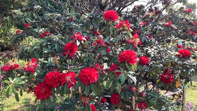 Iphone xs max 2021 camera video test смотреть онлайн