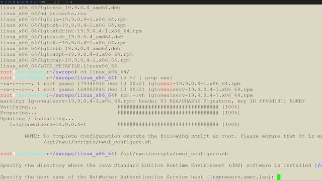 Installing NetWorker Management Web UI (NWUI) on Linux смотреть онлайн
