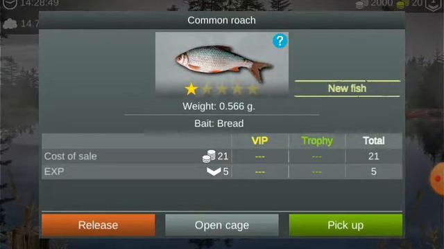 My Fishing world Gameplay_terbaru 2021 смотреть онлайн