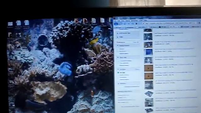 Using Dreamscene in Windows 7 смотреть онлайн