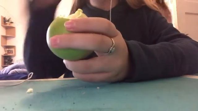 Today we are eating some yogurt apples and mini Oreos смотреть онлайн