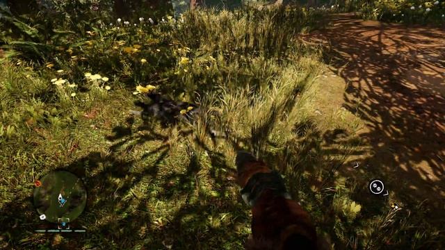 Катящийся мёртвый барсук смотреть онлайн