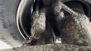 Обзор полуприцепа рефрижератора СТТМ 2024 года выпуска Super snow / CTTM