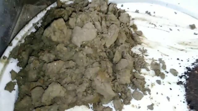আপেল বীজ থেকে চারা তৈরি করার সঠিক পদ্ধতি শিখে নিন смотреть онлайн