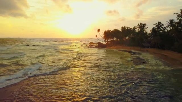 The Ship Rock - Sri Lanka | Resolve color grading sample footage смотреть онлайн