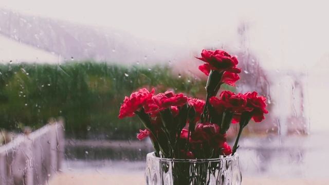 RELAXING SOUNDS - Rain against the window with vase. Relax and unwind. смотреть онлайн