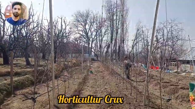 First Dark Baron Site Of 2024 || Dark Baron Apple | Dark Baron