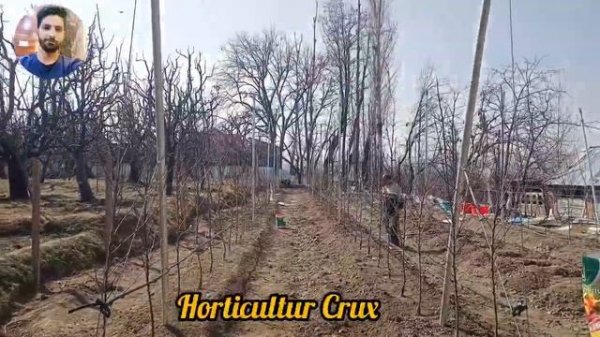 First Dark Baron site of 2024 || Dark Baron Apple | Dark Baron