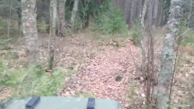 ВИЛИС ЛЕС № 3 смотреть онлайн