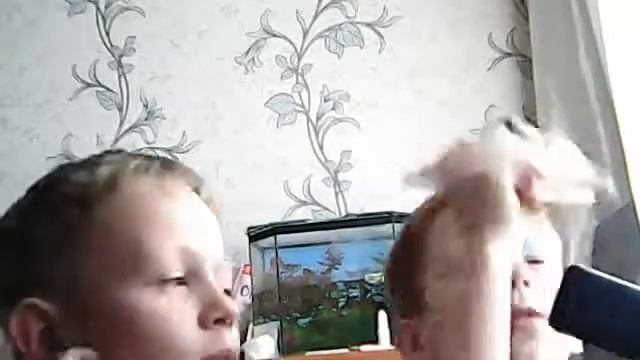 наши айфоны :D смотреть онлайн