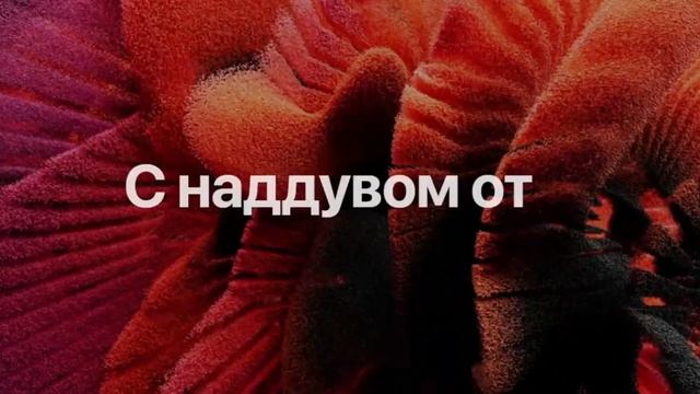 Mac Studio 2023 смотреть онлайн