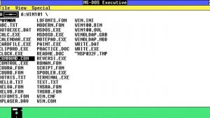 Ms-Dos Windows 1.0