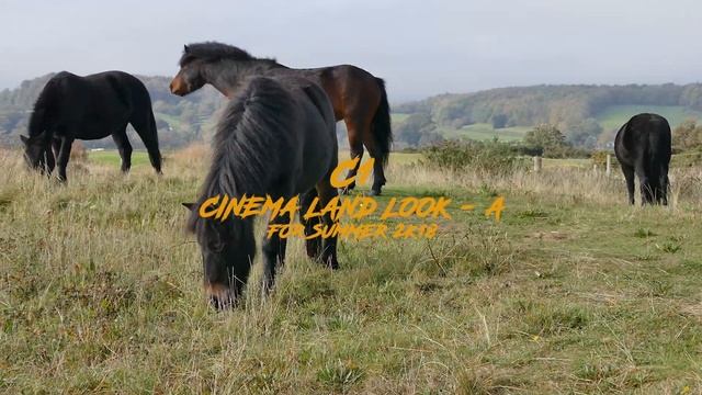 FREE summer LUTS 2021 - Cinematic (premiere, da vinci, final cut atd.) смотреть онлайн