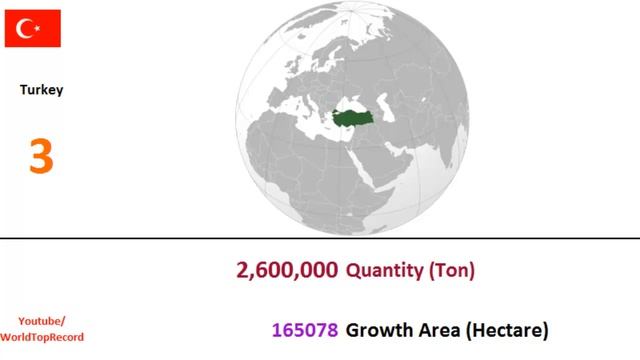 Biggest 5 Apple Producers of the World смотреть онлайн