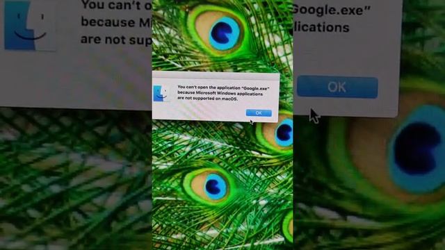 macOS High Sierra смотреть онлайн