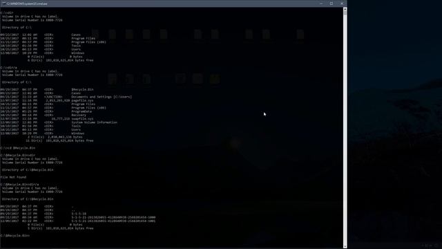 Recycle Bin Forensics смотреть онлайн