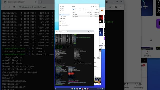 Chrome OS with Brunch brief demo смотреть онлайн