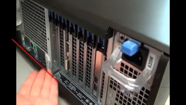 TPS10 3.3.2 Exterior Anatomy смотреть онлайн