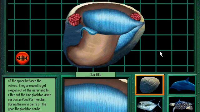 Undersea Adventure (Windows Version) Marine Animal Lab: Clam смотреть онлайн