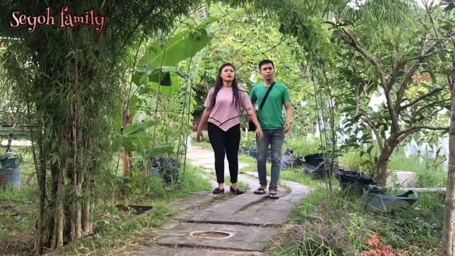 Kampung Sawah Jambu Madu Marina Batam‼️ Siapa Bilang⁉️Di Batam Gak Ada Sawah🤣 смотреть онлайн