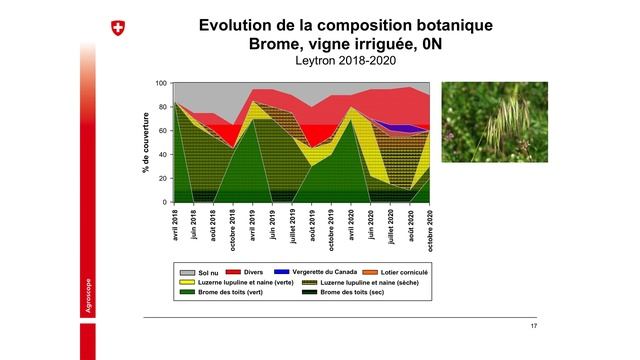 Gestion de l’entretien des sols : essais en cours à Agroscope - Vivian Zufferey, Agroscope смотреть онлайн
