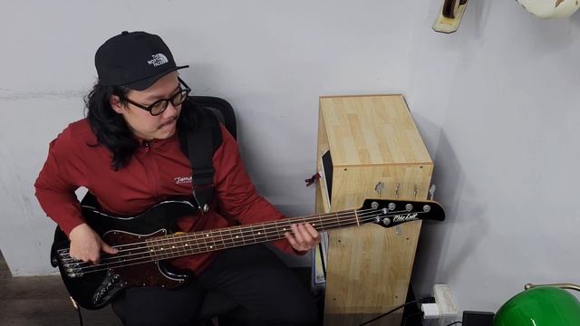 Stevie Wonder - I Wish (Bass Cover) смотреть онлайн