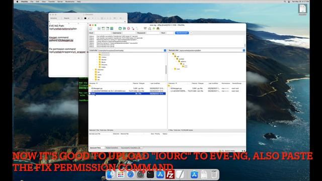 EVE-NG - How to upload L2/L3 Cisco Switch IOU/IOL image to EVE-NG смотреть онлайн