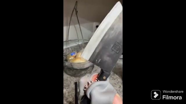 SHARK PUPPET COOKS APPLE PIE!!! @SharkPuppet смотреть онлайн
