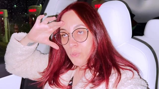 PRIMEIRA VIAGEM DE TESLA ♥️ Montreal para Orlando // 🇺🇸 OS BABIS NOS EUA [1/5] смотреть онлайн