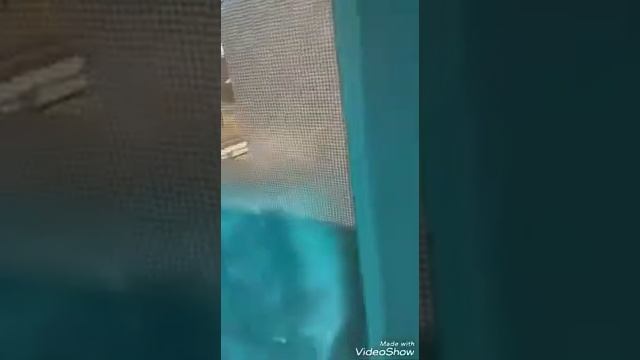 Watch me throw my waffles out the window смотреть онлайн