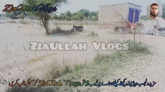 sailab zada elaqon ki new update || ziaullah Vlogs || imdadi sargarmiyan смотреть онлайн