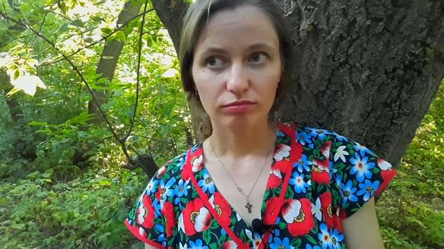 ЖИЗНЬ В ДЕРЕВНЕ!СОБИРАЕМ ПЕРВЫЙ УРОЖАЙ!