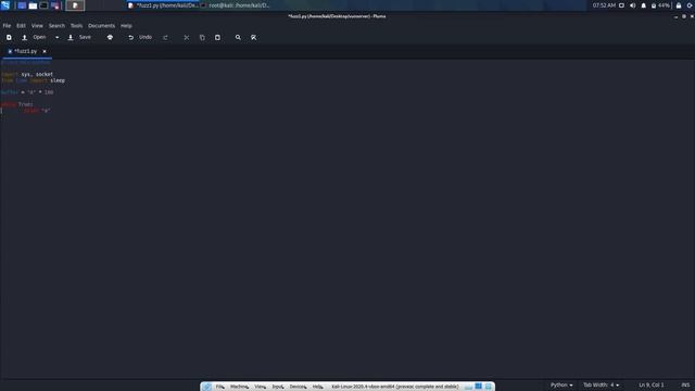 windows flooded - yes (vulnserver buffer overflow) смотреть онлайн