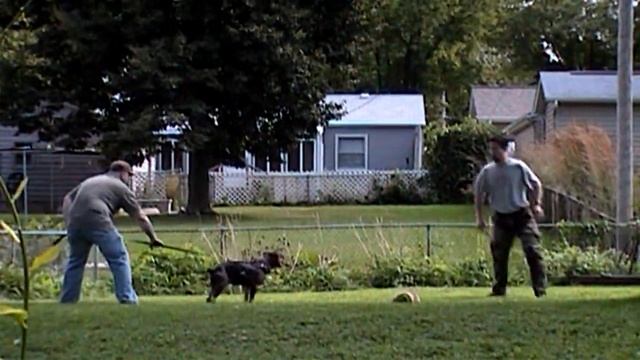 Comanche 9-5-2010.wmv смотреть онлайн