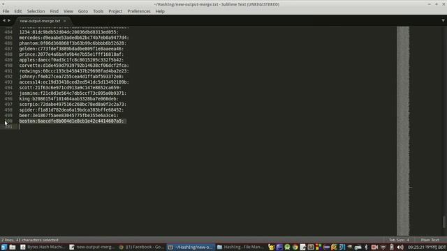 Byte Hash Machine смотреть онлайн