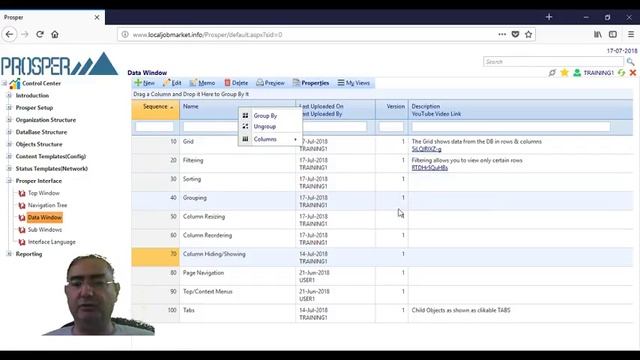 Prosper Interface Data Window Column Hiding смотреть онлайн