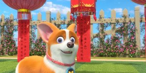 Корги по имени Моко. Домашние животные 2, 7 серия. Праздничные загадки