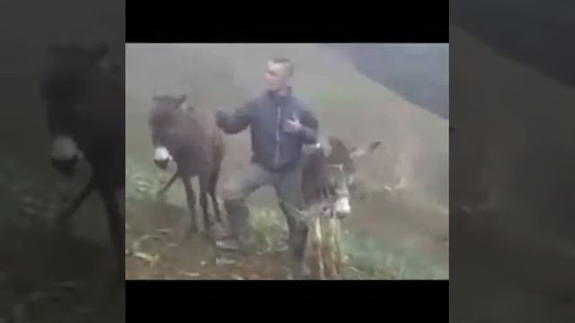 ХОФИЗИ ЧАВОН 2018 смотреть онлайн