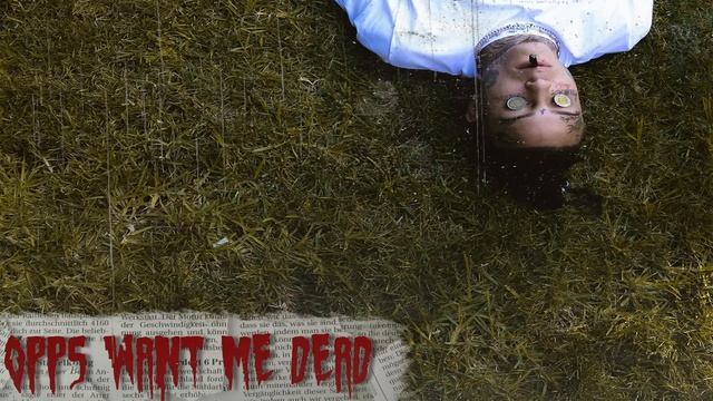 Lil Skies - Opps Want Me Dead [Official Audio] смотреть онлайн