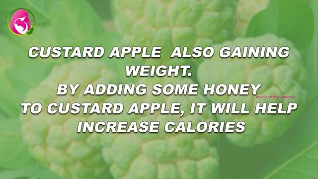 Health benefits of custard apple a valuable gift from nature || #custard apple || Ammachitkalu смотреть онлайн
